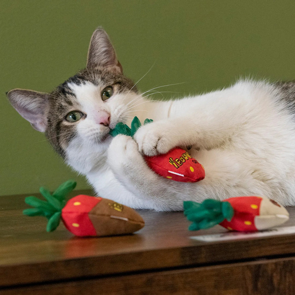 Yeowww! Strawberries Catnip Cat Toy