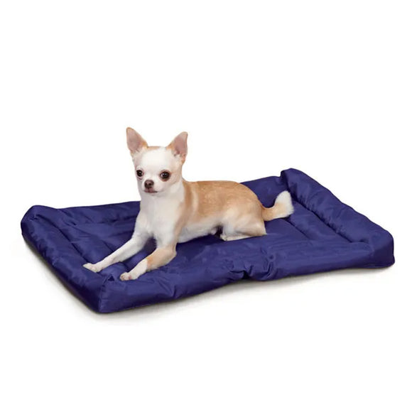 Small dog lying on a purple pet bed against a white background