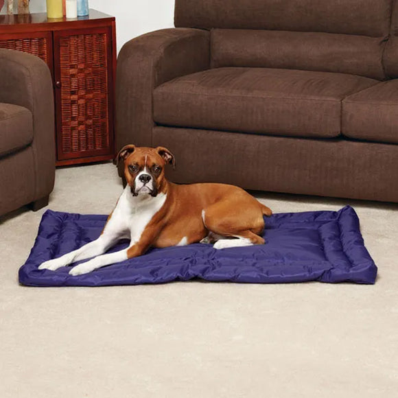 Dog lying on a purple pet mat in a living room with brown furniture.