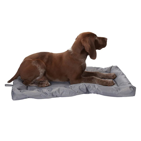 Dog lying on a gray pet bed with a white background