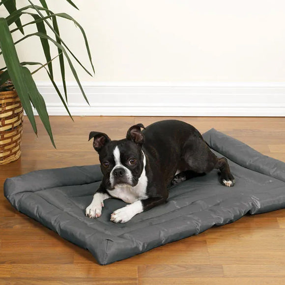 Dog lying on a gray pet bed in a room with a plant and wooden floor.