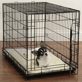 Dog inside a black metal crate on a wooden floor with a white wall background