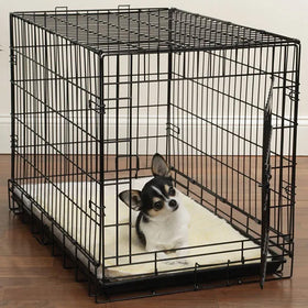 Dog inside a black metal crate on a wooden floor with a white wall background