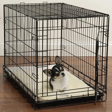 Dog inside a black metal crate on a wooden floor with a white wall background