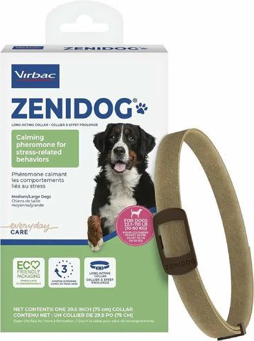 How to Protect Your Pet During New Year’s Festivities