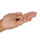 Zoo Med Micro Floating Betta Pellet Fish Food-4