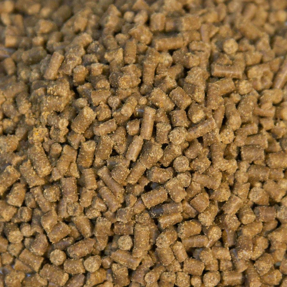 Zoo Med Hermit Crab Dry Food, 2.4-oz