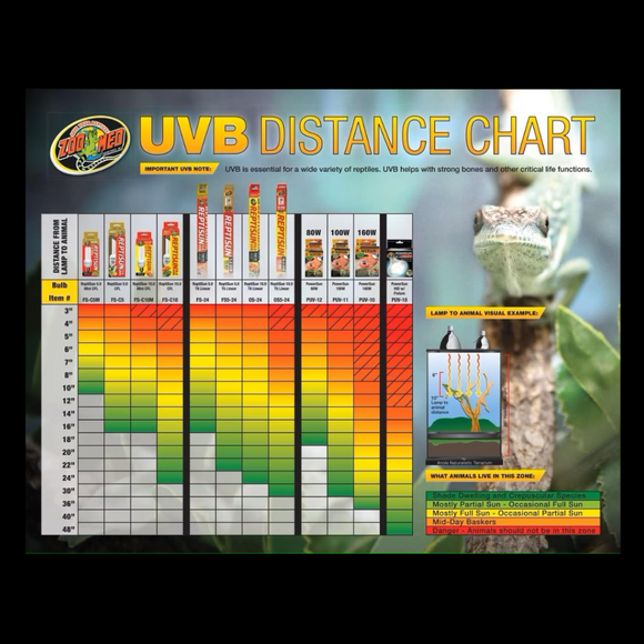 Zoo Med Day & Night Desert Lighting Kit
