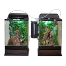 Zoo Med Repti Rain Automatic Misting Machine-5