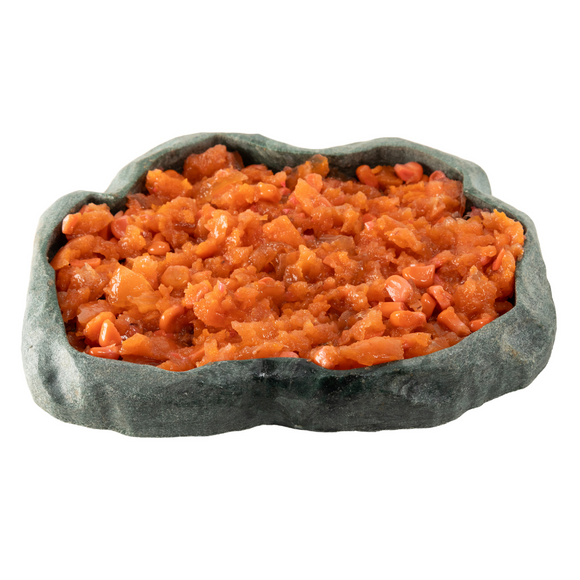 Zoo Med Iguana Wet Food for All Iguanas, 6-oz