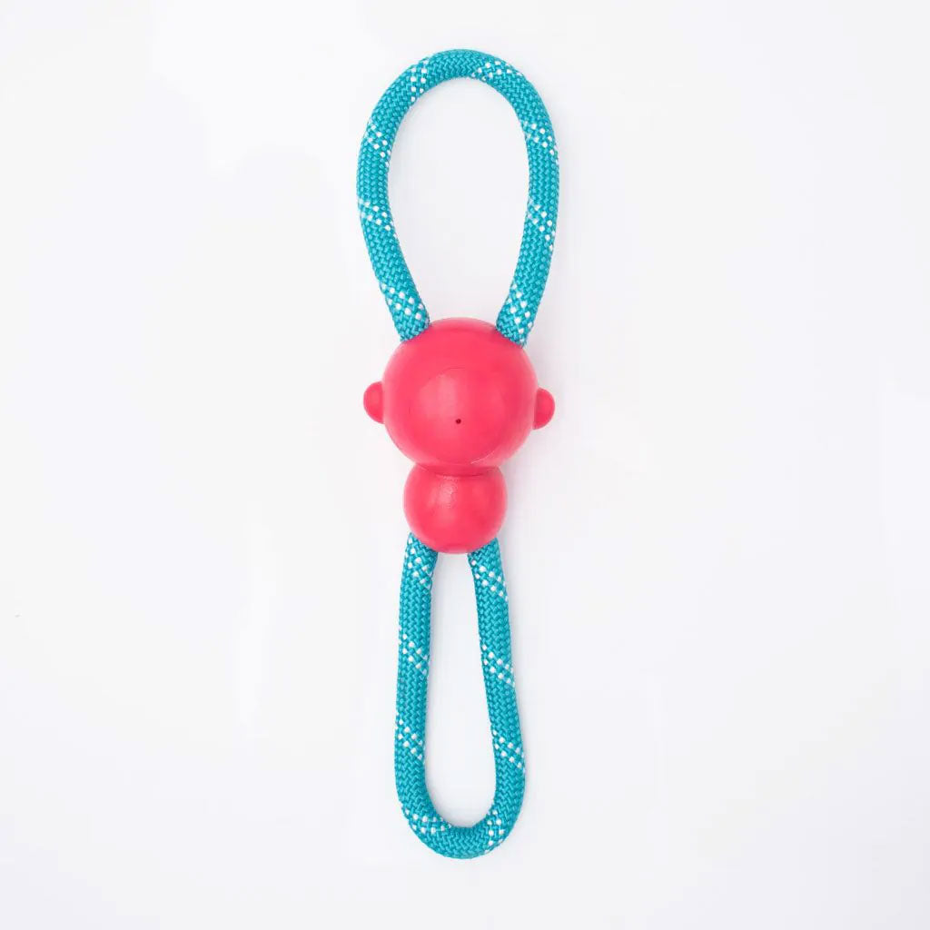 ZippyPaws ZippyTuff Monkey RopeTugz Dog Toy, Medium, Teal/Pink