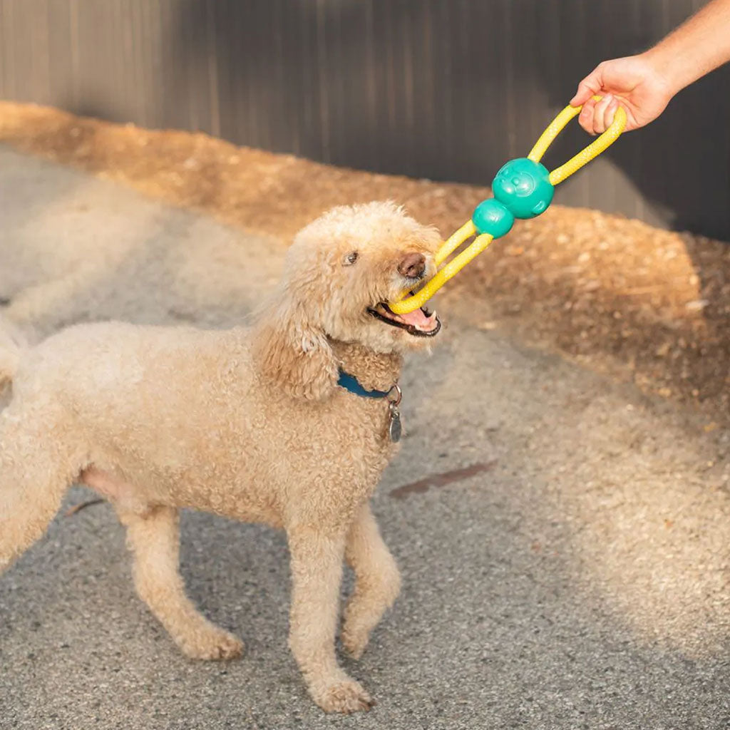 ZippyPaws ZippyTuff Monkey RopeTugz Dog Toy, Medium, Teal/Yellow