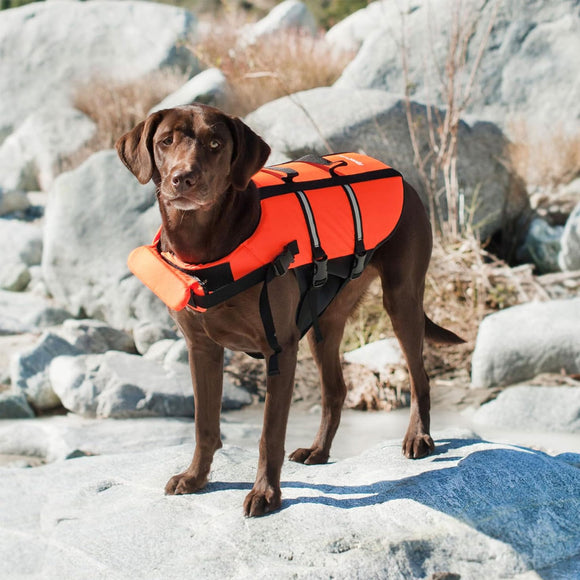 ZippyPaws Adventure Dog Life Jacket, Red