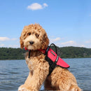 ZippyPaws Adventure Dog Life Jacket, Red
