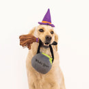 Zippypaws Halloween Costume Kit Witch for Dogs