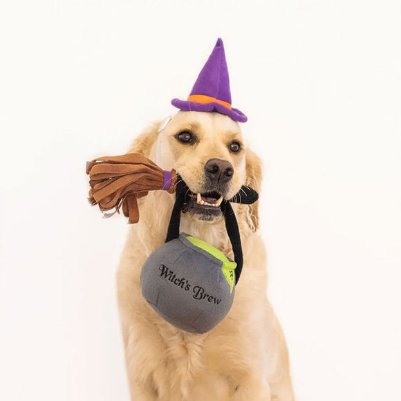 Zippypaws Halloween Costume Kit Witch for Dogs