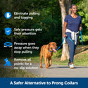 PetSafe Soft Point Training Collar Prong Replacement Pack