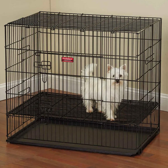Dog inside a black wire crate on a wooden floor with a beige wall background