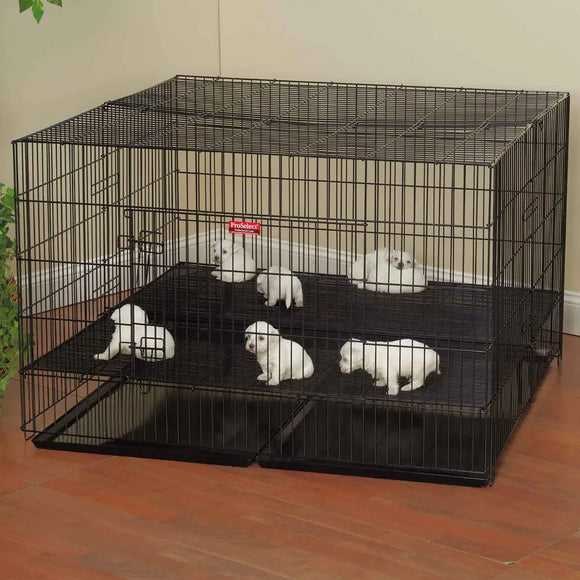 Black wire dog crate with puppies inside on a wooden floor.
