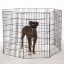 Dog standing inside a large metal dog crate on a white background