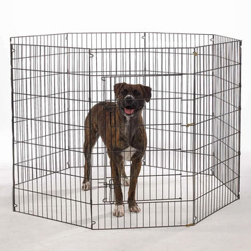 Dog standing inside a large metal dog crate on a white background