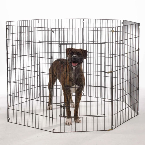 Dog standing inside a large metal dog crate on a white background