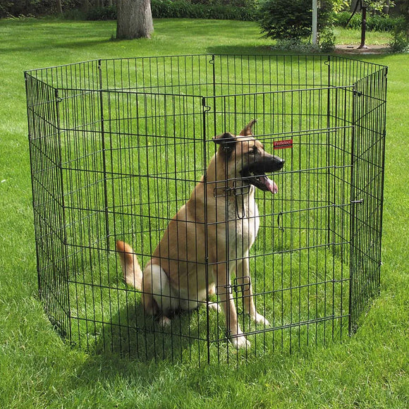 Dog inside a wire playpen on a grassy area