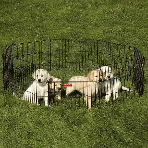 Three dogs inside a black metal dog pen on grass