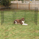 Dog lying on grass next to a metal dog pen in a backyard.