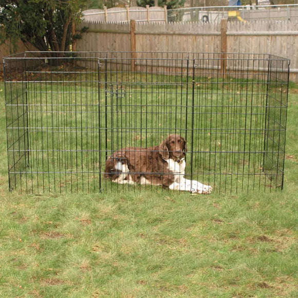 Dog lying on grass next to a metal dog pen in a backyard.