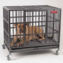 Dog inside a large metal crate with wheels on a white background