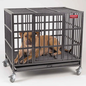 Dog inside a large metal crate with wheels on a white background