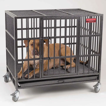 Dog inside a large metal crate with wheels on a white background