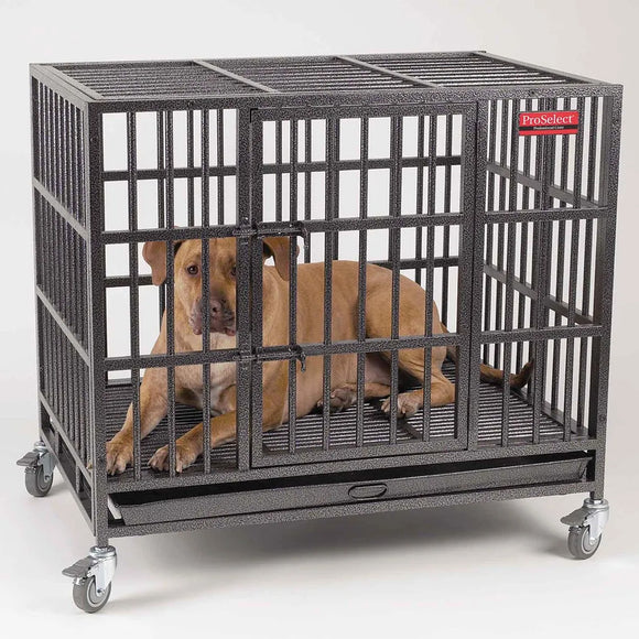 Dog inside a large metal crate with wheels on a white background