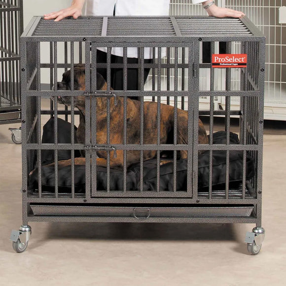 Dog inside a large gray crate with 'ProSelect' branding, on a light wood floor.