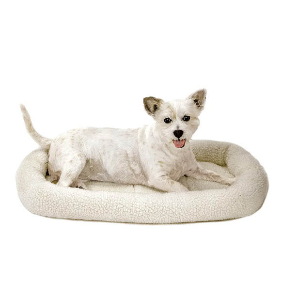 Dog lying on a fluffy white pet bed against a white background
