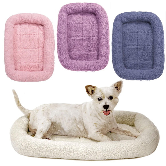 Dog lying on a cream-colored pet bed with three other pet beds in pink, purple, and blue above it.