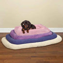 Dog lying on a colorful pet bed with a plain background