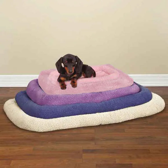 Dog lying on a colorful pet bed with a plain background