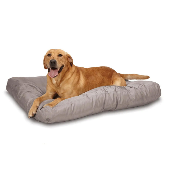 Dog lying on a large gray pet bed against a white background