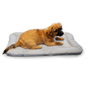 Dog lying on a rectangular pet bed with a white background