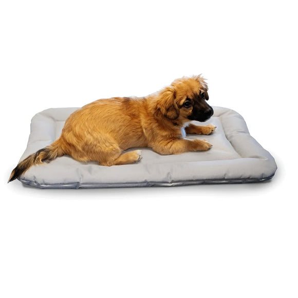 Dog lying on a rectangular pet bed with a white background