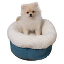Small dog sitting on a blue and white pet bed against a white background