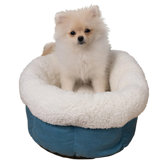 Small dog sitting on a blue and white pet bed against a white background