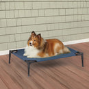 Dog sitting on a blue pet cot on a wooden deck with a gray shingled wall background.