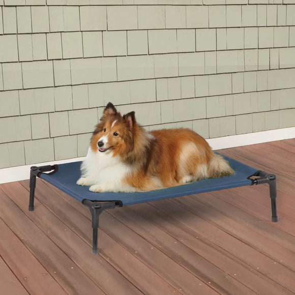 Dog sitting on a blue pet cot on a wooden deck with a gray shingled wall background.