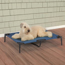 Dog lying on a blue pet cot on a wooden deck with a green shingled wall in the background.