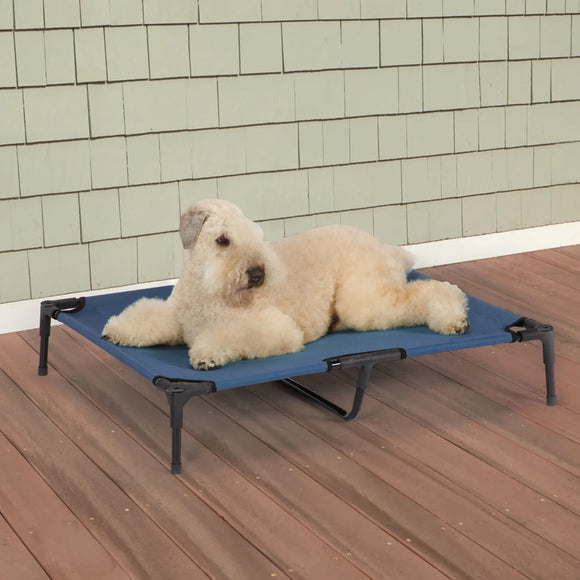 Dog lying on a blue pet cot on a wooden deck with a green shingled wall in the background.