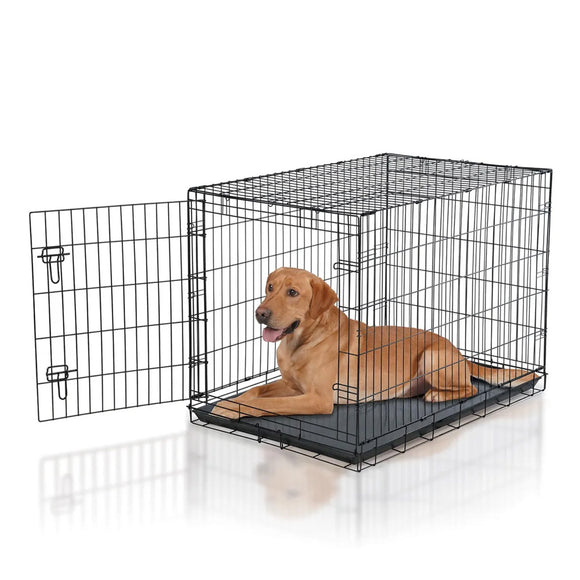 Dog lying inside a black metal dog crate on a white background