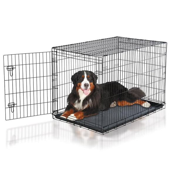 Dog lying inside a black metal dog crate on a white background